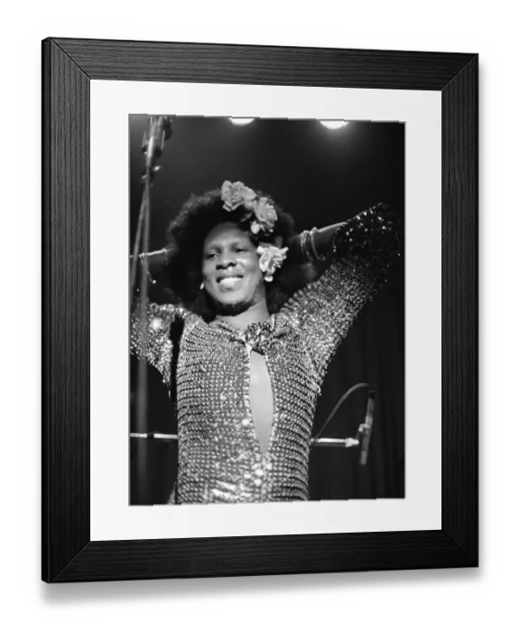 Framed Print : Photo of Sylvester Framed Print : Photo of Sylvester