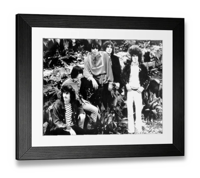Framed Print : Photo of Steppenwolf Framed Print : Photo of Steppenwolf