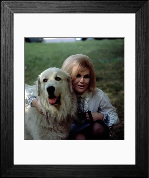 Framed Print : Photo of Dusty Springfield