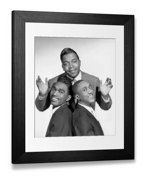 Framed Print : Photo of Shep and Limelites Framed Print : Photo of Shep and Limelites