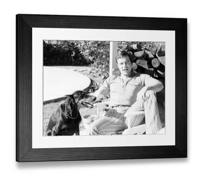 Framed Print : Photo of William Shatner Framed Print : Photo of William Shatner