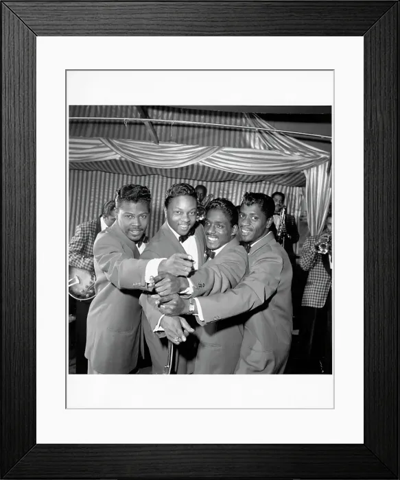 Framed Print : Photo of Penguins Framed Print : Photo of Penguins