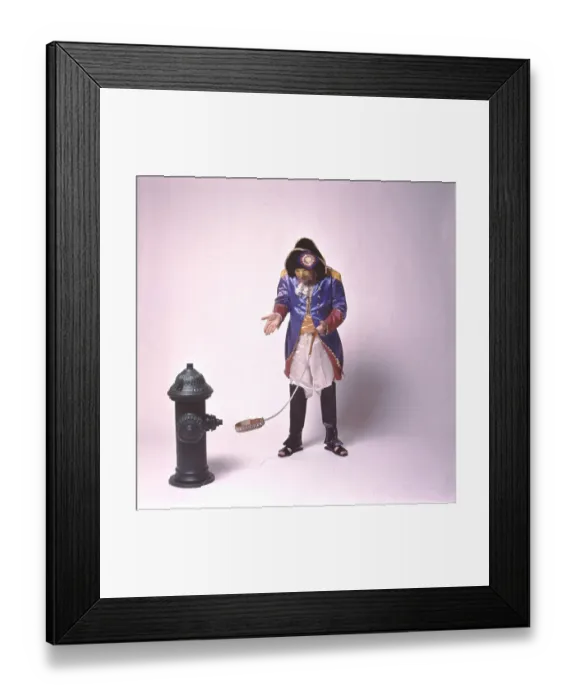 Framed Print : Photo of Napoleon XIV Framed Print : Photo of Napoleon XIV