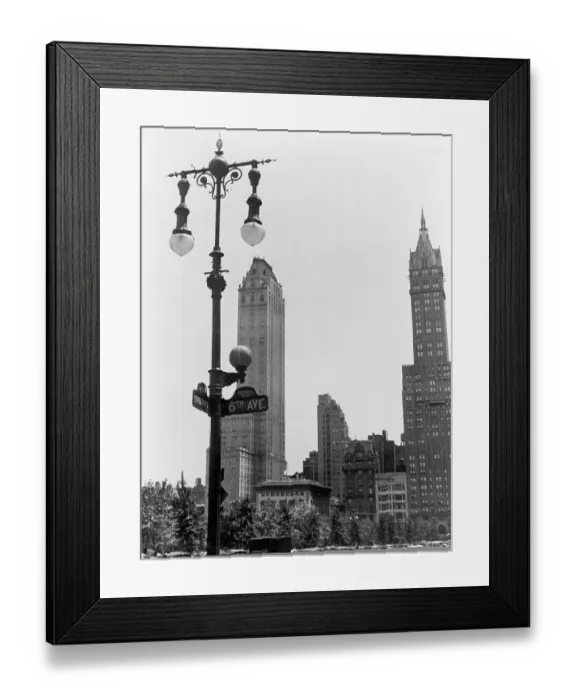 Framed Print : Photo of NY Central Park South Framed Print : Photo of NY Central Park South