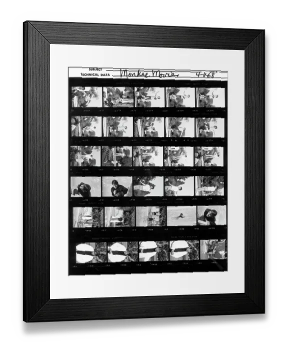Framed Print : Photo of Monkees
