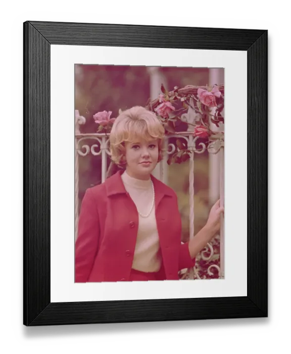 Framed Print : Photo of Hayley Mills Framed Print : Photo of Hayley Mills