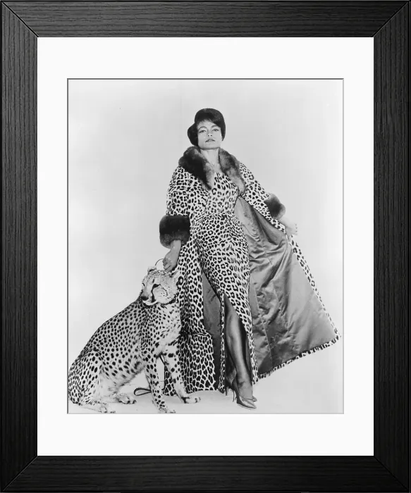 Framed Print : Photo of Eartha Kitt Framed Print : Photo of Eartha Kitt