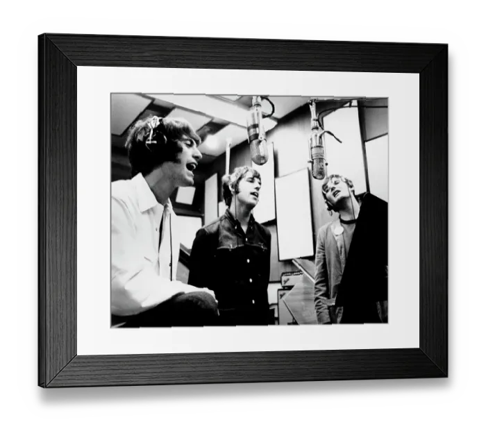 Framed Print : Photo of Grass Roots Framed Print : Photo of Grass Roots