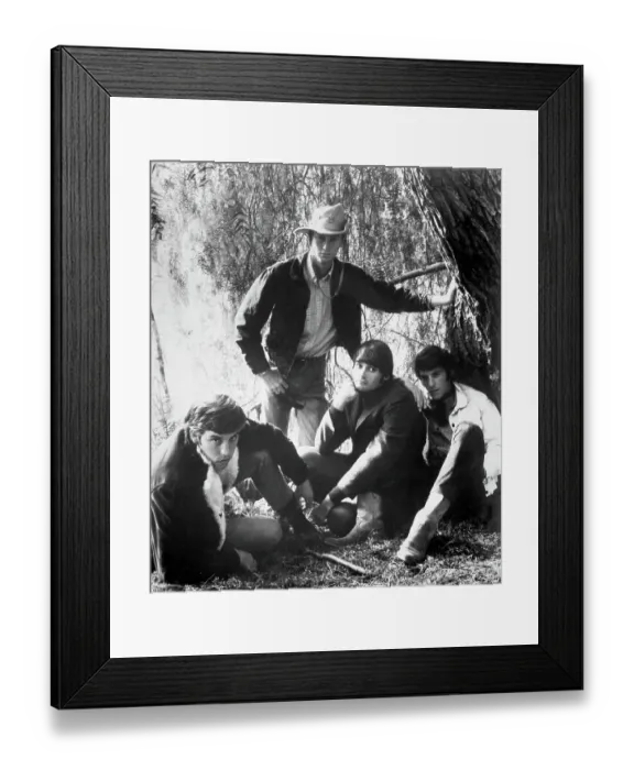 Framed Print : Photo of Grass Roots Framed Print : Photo of Grass Roots