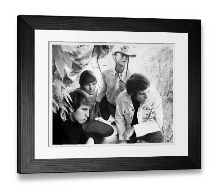 Framed Print : Photo of Grass Roots Framed Print : Photo of Grass Roots