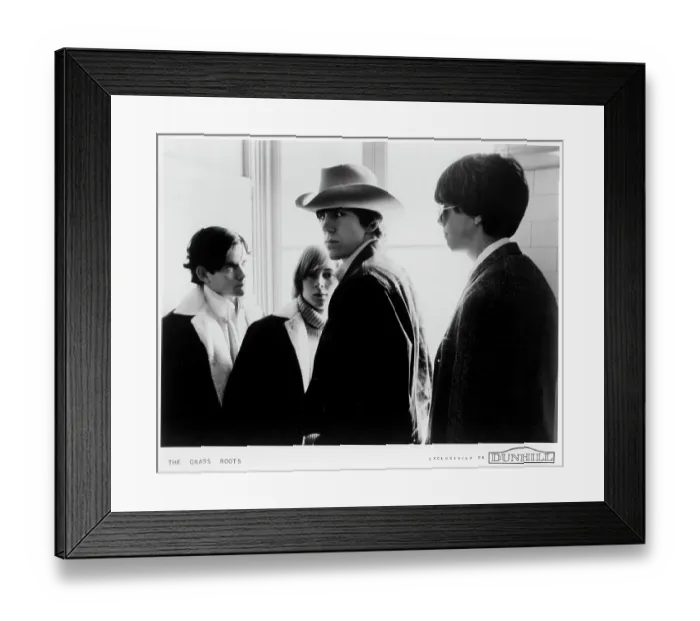 Framed Print : Photo of Grass Roots Framed Print : Photo of Grass Roots