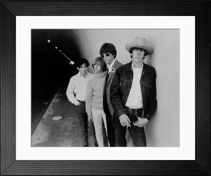 Framed Print : Photo of Grass Roots Framed Print : Photo of Grass Roots
