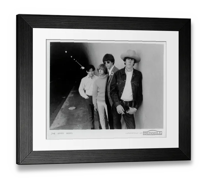 Framed Print : Photo of Grass Roots Framed Print : Photo of Grass Roots