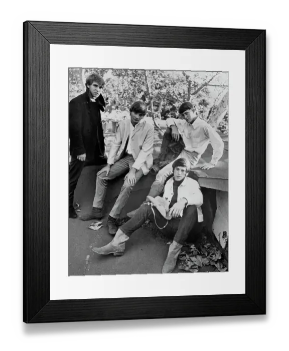 Framed Print : Photo of Grass Roots Framed Print : Photo of Grass Roots
