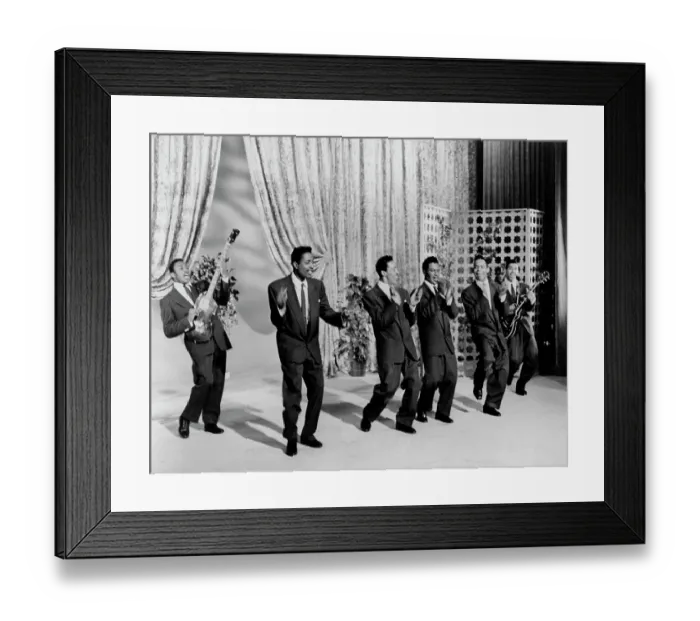 Framed Print : Photo of Flamingos Framed Print : Photo of Flamingos