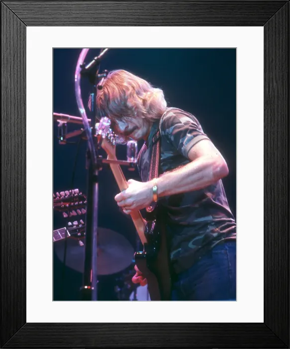 Framed Print : Eagles Performing Framed Print : Eagles Performing