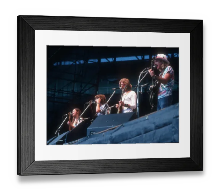 Framed Print : Eagles Performing Framed Print : Eagles Performing