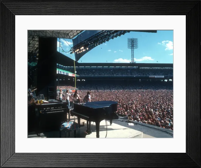 Framed Print : Eagles Performing Framed Print : Eagles Performing