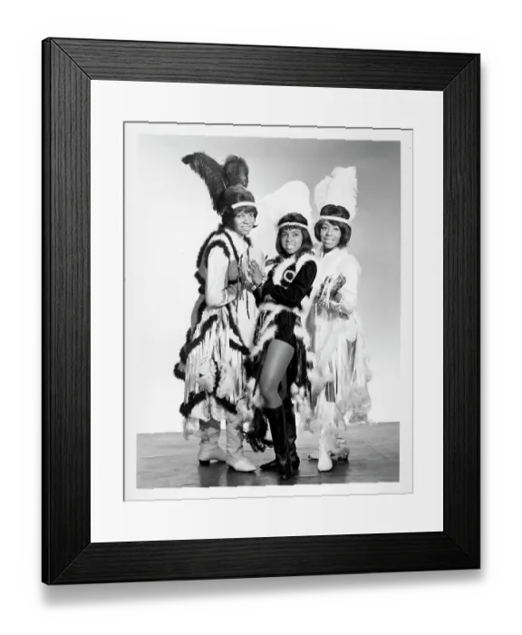 Framed Print : Photo of Dixie Cups Framed Print : Photo of Dixie Cups
