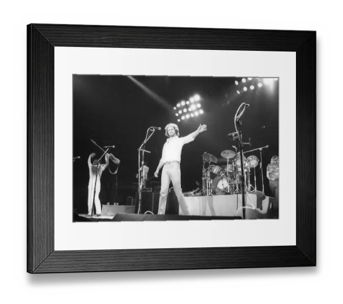 Framed Print : Photo of Eagles Framed Print : Photo of Eagles