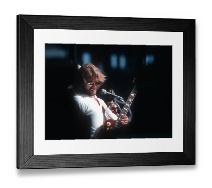 Framed Print : Photo of Eagles Framed Print : Photo of Eagles