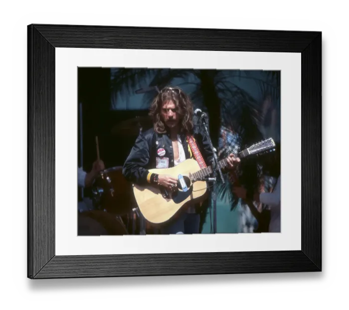Framed Print : Photo of Eagles Framed Print : Photo of Eagles