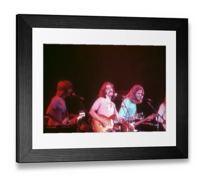 Framed Print : Photo of Eagles Framed Print : Photo of Eagles