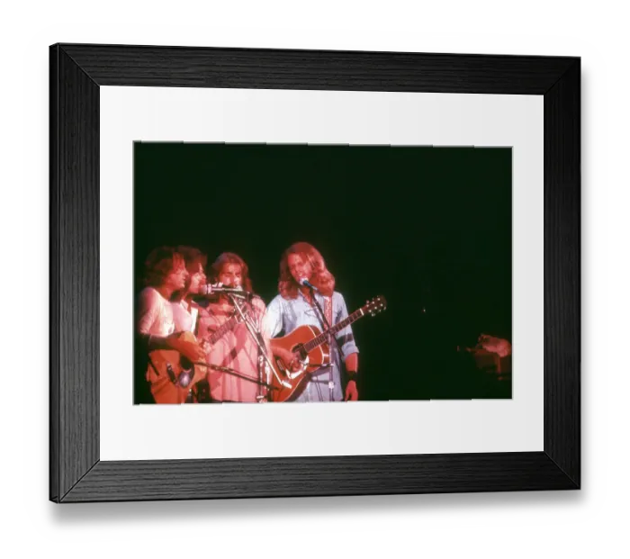 Framed Print : Photo of Eagles Framed Print : Photo of Eagles