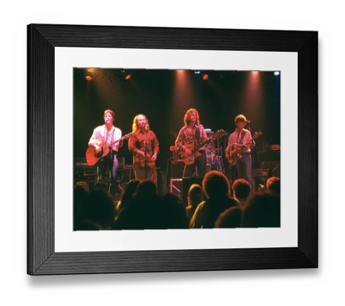 Framed Print : Photo of Byrds Framed Print : Photo of Byrds