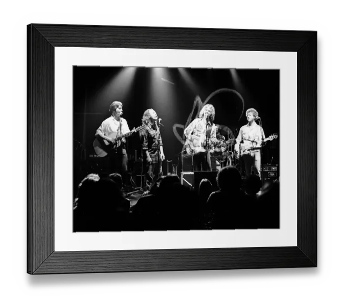 Framed Print : Photo of Byrds Framed Print : Photo of Byrds