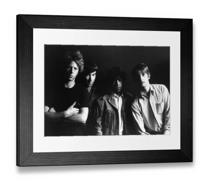Framed Print : Photo of Byrds Framed Print : Photo of Byrds