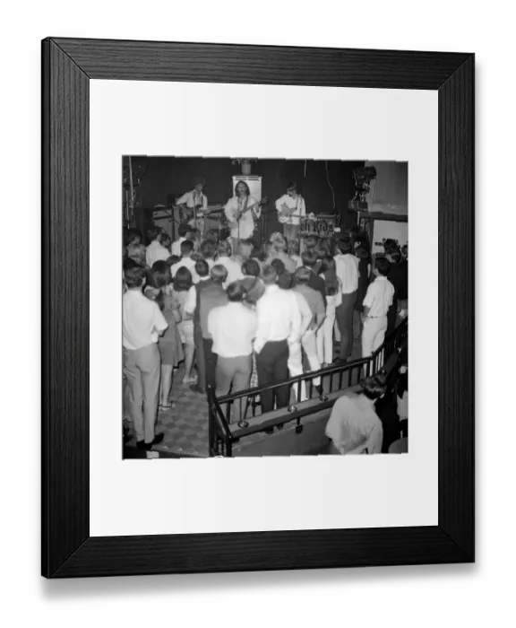 Framed Print : Photo of Byrds Framed Print : Photo of Byrds