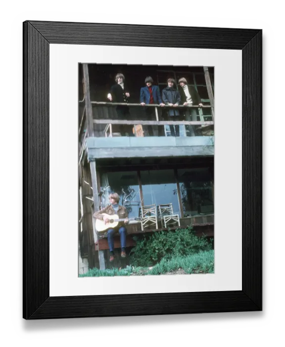Framed Print : Photo of Byrds Framed Print : Photo of Byrds