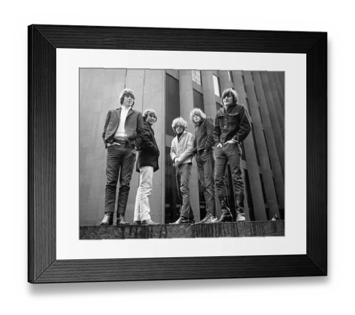 Framed Print : Photo of Byrds Framed Print : Photo of Byrds