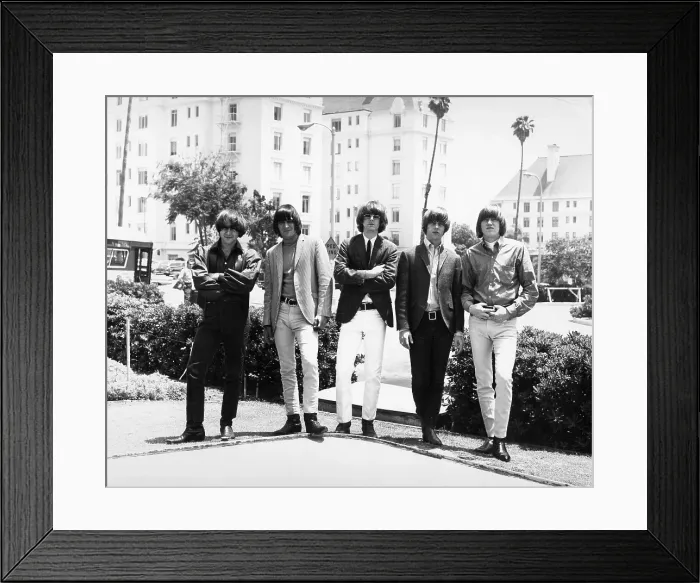 Framed Print : Photo of Byrds Framed Print : Photo of Byrds