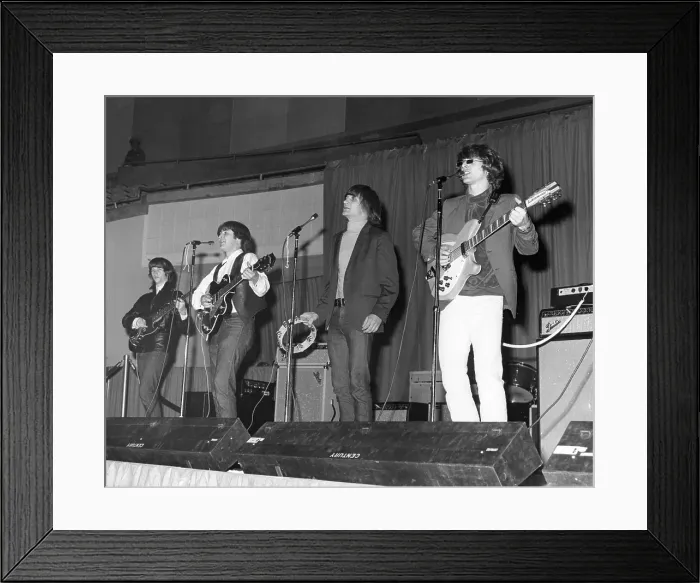 Framed Print : Photo of Byrds Framed Print : Photo of Byrds
