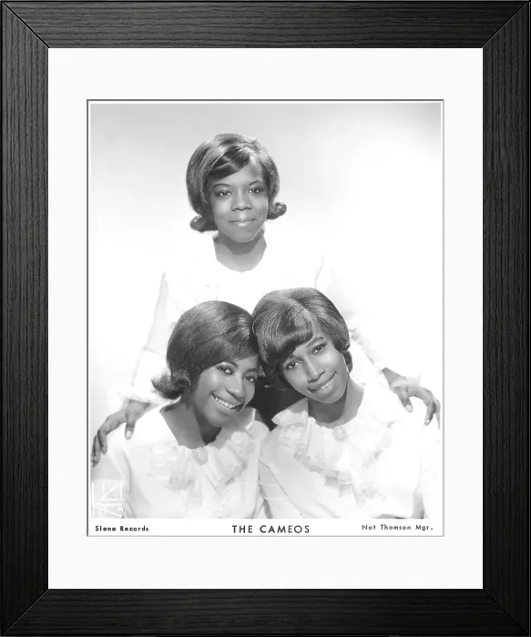 Framed Print : Photo of Cameos Framed Print : Photo of Cameos