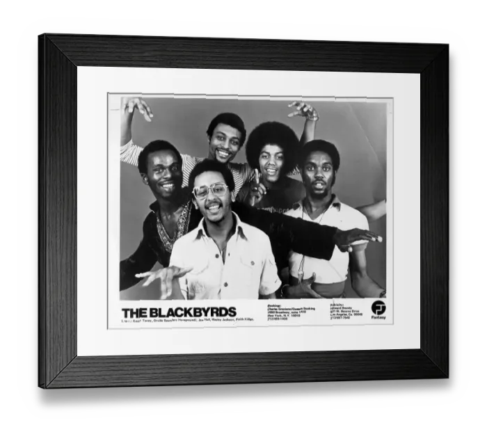 Framed Print : Photo of Blackbyrds Framed Print : Photo of Blackbyrds