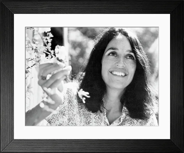 Framed Print : Photo of Joan Baez Framed Print : Photo of Joan Baez