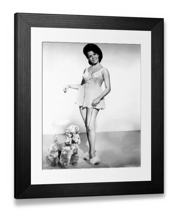 Framed Print : Anette Funicello