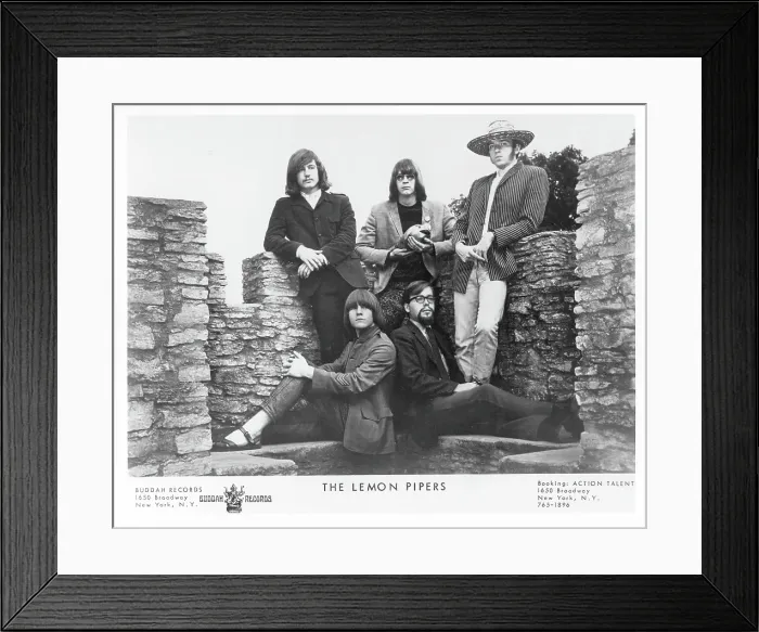 Framed Print : Photo of Lemon Pipers Framed Print : Photo of Lemon Pipers