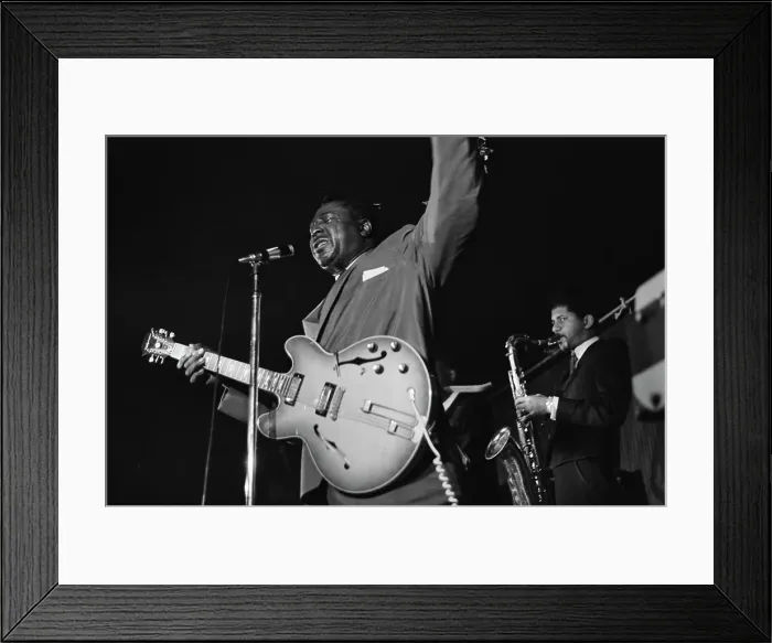 Framed Print : Albert King Framed Print : Albert King