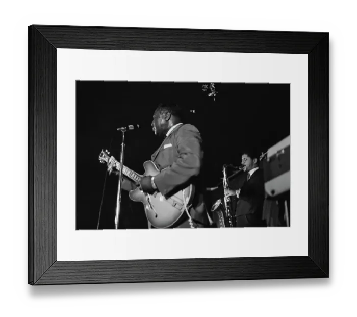 Framed Print : Albert King Framed Print : Albert King