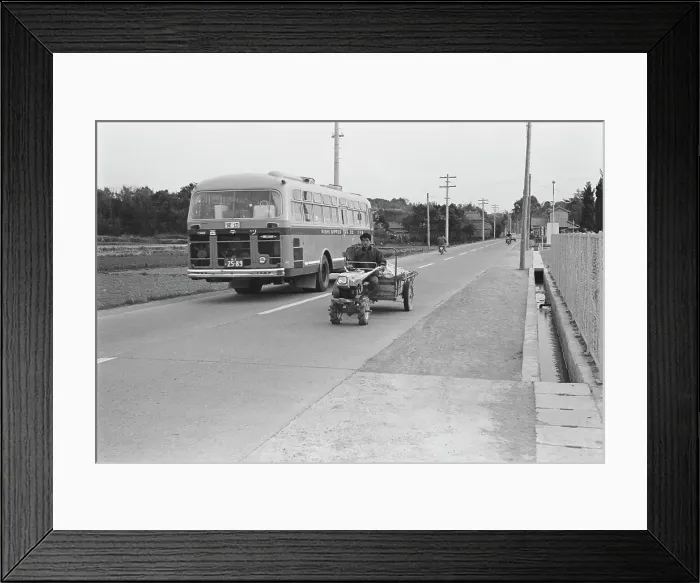 Framed Print : Japanese Travel Framed Print : Japanese Travel