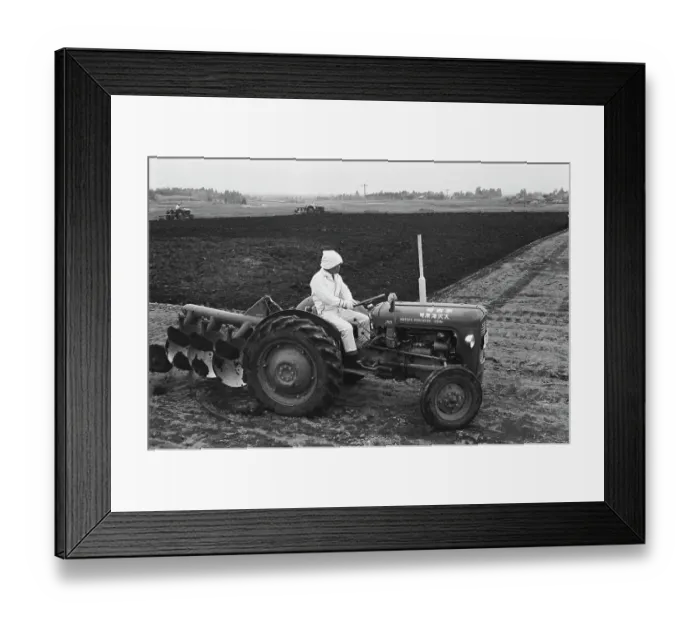 Framed Print : Agriculture In Japan Framed Print : Agriculture In Japan