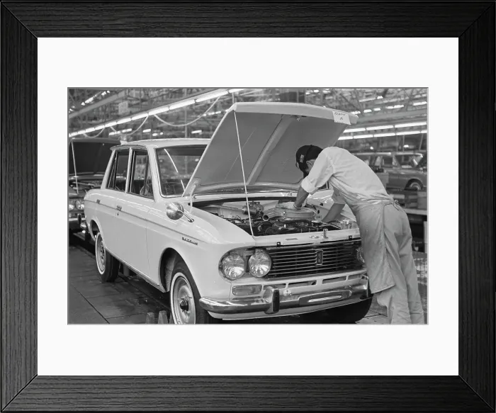 Framed Print : Datsun Plant Framed Print : Datsun Plant