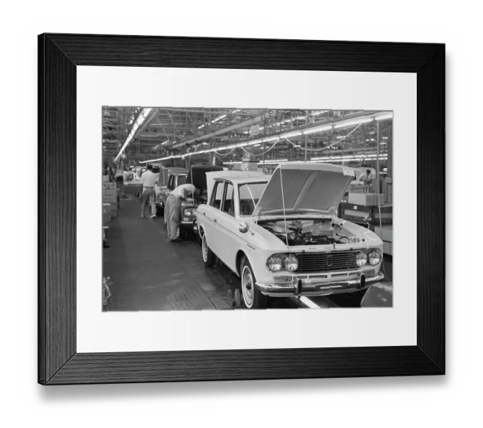 Framed Print : Datsun Plant Framed Print : Datsun Plant