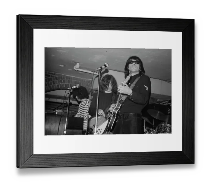 Framed Print : Steppenwolf