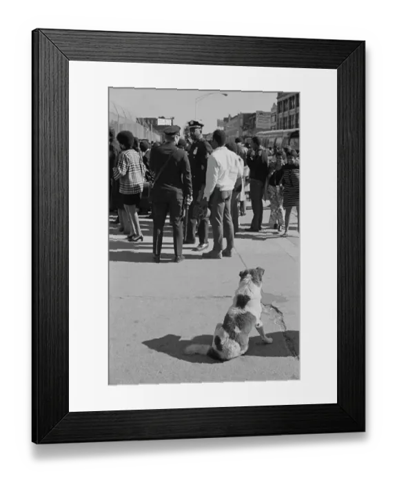 Framed Print : Harlem Gathering Framed Print : Harlem Gathering