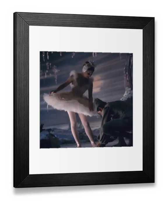 Framed Print : Streisand's Swan Framed Print : Streisand's Swan